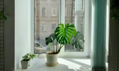 purificador de aire con filtro hepa en una habitación de casa junto a muebles modernos