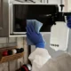Imagen de una persona limpiando un microondas muy sucio en la cocina, ideal para explicar como limpiar el microondas muy sucio sin dañar el aparato.