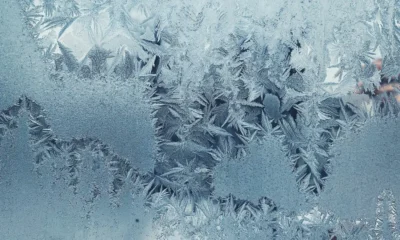 Frigorífico con escarcha en la pared trasera, ilustración para el artículo mi frigorífico hace hielo en la parte de atrás