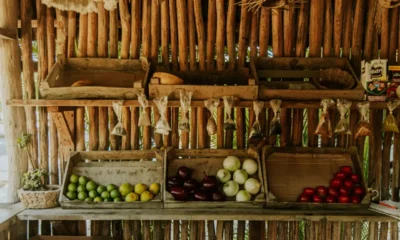 Frigorífico TCL para hibernar alimentos: interior de nevera abierta con verduras frescas, fruta y estantes organizados.