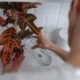 Persona vertiendo agua de condensado del aire acondicionado a una regadera para regar macetas de interior. Es buena el agua del aire acondicionado para las plantas — imagen ilustrativa del artículo.