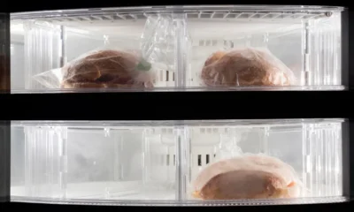 Técnico revisando hielo en el interior de un frigorífico no frost no enfría pero si congela.