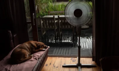 Ventilador fagor de pie en una habitación del hogar con ambiente fresco y sencillo