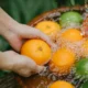 Persona lavando las piezas de un exprimidor para cuidar exprimidor en la cocina