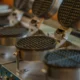 Imagen de electrodomésticos raros en una cocina moderna, una colección de aparatos extraños que inspiran curiosidad.